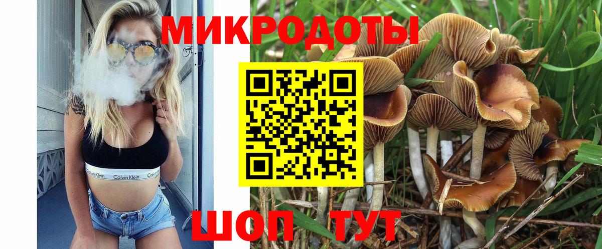 Псилоцибиновые грибы прущие грибы  цена наркотик  Горячий Ключ  Вход с VPN 